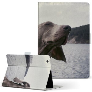 firemax11 p 2023N ΉJo[ C` L TCY 蒠^ ^ubgP[X Jo[ S@ΉL U[ tbv _CA[ ܂ v 023964 @@ʐ^