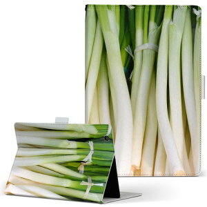 iPad Air 2 p ^ubg P[X Apple iPad ACpbh ipadair2 LTCY 蒠^ ^ubgP[X Jo[ U[ tbv _CA[ ܂ v 025602 ؁@lM@ʐ^
