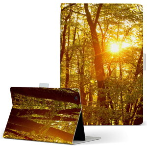 iPad Air 2 p ^ubg P[X Apple iPad ACpbh ipadair2 LTCY 蒠^ ^ubgP[X Jo[ U[ tbv _CA[ ܂ v 025682 R@X@[@