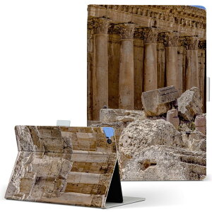 aiwa tab AB8 p ^ubg P[X JA3-TBA0801 / TBA0802 8C` MTCY 蒠^ ^ubgP[X Jo[ U[ tbv _CA[ ܂ v 025709 z@i@ʐ^