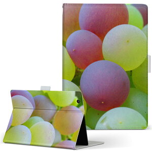 aiwa tab AB8 p ^ubg P[X JA3-TBA0801 / TBA0802 8C` MTCY 蒠^ ^ubgP[X Jo[ U[ tbv _CA[ ܂ v 025823 t[c@Ԃǂ@ʕ