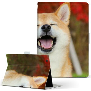 iPad Air 2 p ^ubg P[X Apple iPad ACpbh ipadair2 LTCY 蒠^ ^ubgP[X Jo[ U[ tbv _CA[ ܂ v 015611 @킢@Č