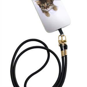 iPhone14pro 6.1C` p eLA iPhone14 Pro v ʑΉ V_[P[X \tgP[X X}zJo[ h~ X}zP[X ΂߂ |P[X ϏՌ tpu 002892 L@@ʐ^