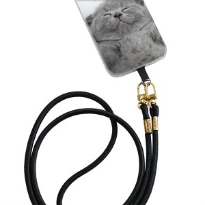 iPhone14pro 6.1C` p eLA iPhone14 Pro v ʑΉ V_[P[X \tgP[X X}zJo[ h~ X}zP[X ΂߂ |P[X ϏՌ tpu 011682 L@@ʐ^