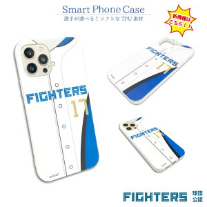 kC{nt@C^[Y X}zP[X Ж F CZX 싅 p[O n t@C^[Y iPhone Air 17 16 15 Pro 14 14Plus 14Pro 14ProMax P[X Jo[ X}zJo[ TPU \tgP[X j