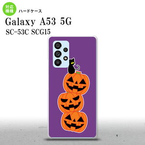 SC-53C SCG015 Galaxy A53 5G X}zP[X wʃP[X n[hP[X nEB J{` A  Y fB[X nk-a53-406