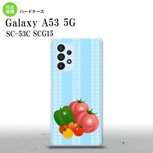 SC-53C SCG015 Galaxy A53 5G X}zP[X wʃP[X n[hP[X xW^u g}g  Y fB[X nk-a53-666