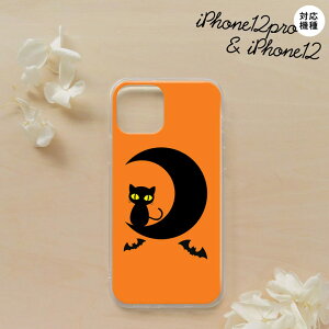 iPhone12/iPhone12pro iPhone12 / iPhone12pro X}zP[X \tgP[X nEB ƔL IW Y fB[X nk-i12-tp411