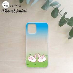 iPhone12mini iPhone12 mini 5.4 P[X \tgP[X wʃJo[ X}zP[X wʃJo[ n[hP[X ETM nk-i12m-tp865