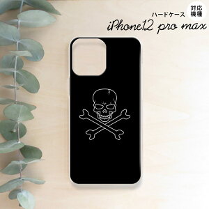 iPhone12ProMax iPhone12 Pro Max 6.7 X}zP[X n[hP[X hN  Y fB[X nk-i12mp-512