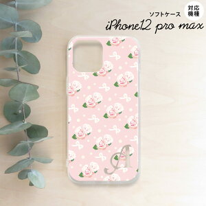 iPhone12ProMax iPhone12 Pro Max 6.7 �X�}�z�P�[�X �\�t�g�P�[�X �ԕ� �o�� ���{�� �s���N +�A���t�@�x�b�g �����Y ���f�B�[�X nk-i12mp-tp256i