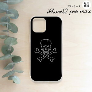 iPhone12ProMax iPhone12 Pro Max 6.7 X}zP[X \tgP[X hN  Y fB[X nk-i12mp-tp512