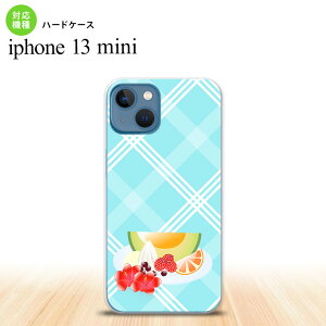 iPhone13mini iPhone13 mini P[X n[hP[X t[c JNe  nk-i13m-657