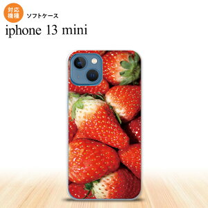 iPhone13mini iPhone13 mini P[X \tgP[X  C`S ʐ^  iPhone ~j 5.4C`  킢 Y fB[X LbY fUC nk-i13m-tp040