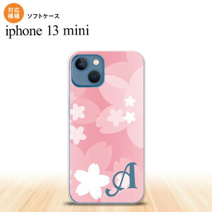 iPhone13mini iPhone13 mini P[X \tgP[X ԕ TN C  sN +At@xbg iPhone ~j 5.4C`  킢 Y fB[X LbY fUC nk-i13m-tp063i