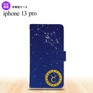 iPhone13 Pro iPhone13Pro 蒠^X}zP[X Jo[   iPhone13 Prop nk-004s-i13p-dr842