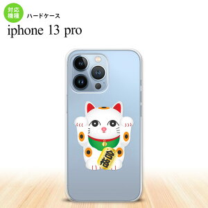 iPhone13 Pro iPhone13Pro �P�[�X �n�[�h�P�[�X �����L ���i �� iPhone13Pro��p nk-i13p-145