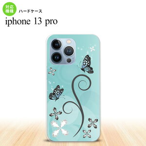 iPhone13 Pro iPhone13Pro �P�[�X �n�[�h�P�[�X �o�^�t���C �� D ���F iPhone13Pro��p nk-i13p-226