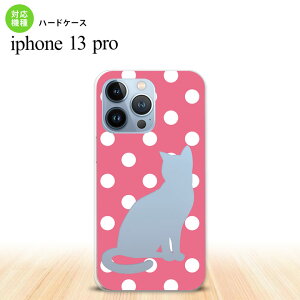 iPhone13 Pro iPhone13Pro P[X n[hP[X L  sN iPhone13Prop nk-i13p-967