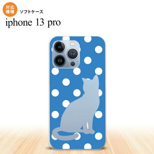 iPhone13 Pro iPhone13Pro P[X \tgP[X L  F  iPhone13Prop nk-i13p-tp970