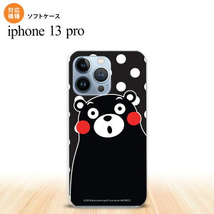 iPhone13 Pro iPhone13Pro P[X \tgP[X ܃    iPhone13Prop nk-i13p-tpkm23
