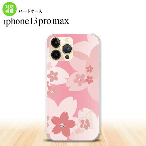 iPhone13ProMax iPhone13 Pro Max P[X n[hP[X ԕ TN C sN +At@xbg iPhone13 v }bNX 6.7C`  킢 Y fB[X LbY fUC nk-i13pm-062i