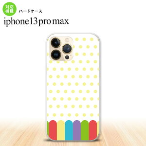 iPhone13ProMax iPhone13 Pro Max P[X n[hP[X N  iPhone13 v }bNX 6.7C`  킢 Y fB[X LbY fUC nk-i13pm-1431