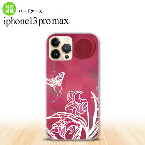 iPhone13ProMax iPhone13 Pro Max P[X n[hP[X Ɖ sN iPhone13 v }bNX 6.7C`  킢 Y fB[X LbY fUC nk-i13pm-1542