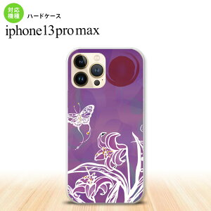 iPhone13ProMax iPhone13 Pro Max P[X n[hP[X Ɖ  iPhone13 v }bNX 6.7C`  킢 Y fB[X LbY fUC nk-i13pm-1543