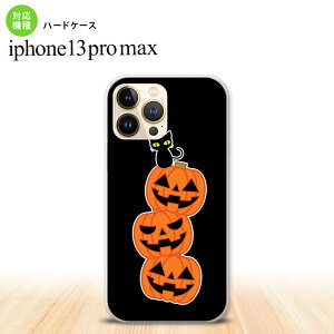 iPhone13ProMax iPhone13 Pro Max P[X n[hP[X nEB J{` A  iPhone13 v }bNX 6.7C`  킢 Y fB[X LbY fUC nk-i13pm-407