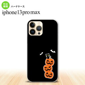 iPhone13ProMax iPhone13 Pro Max P[X n[hP[X nEB J{` A   iPhone13 v }bNX 6.7C`  킢 Y fB[X LbY fUC nk-i13pm-408