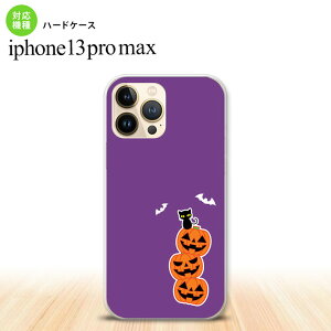 iPhone13ProMax iPhone13 Pro Max P[X n[hP[X nEB J{` A   iPhone13 v }bNX 6.7C`  킢 Y fB[X LbY fUC nk-i13pm-409