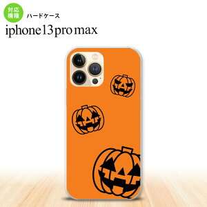 iPhone13ProMax iPhone13 Pro Max P[X n[hP[X nEB J{`X^v IW iPhone13 v }bNX 6.7C`  킢 Y fB[X LbY fUC nk-i13pm-410
