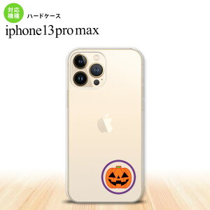 iPhone13ProMax iPhone13 Pro Max P[X n[hP[X nEB J{`|Cg NA iPhone13 v }bNX 6.7C`  킢 Y fB[X LbY fUC nk-i13pm-413