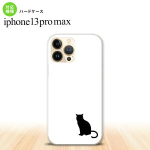 iPhone13ProMax iPhone13 Pro Max P[X n[hP[X L e   iPhone13 v }bNX 6.7C`  킢 Y fB[X LbY fUC nk-i13pm-427