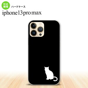 iPhone13ProMax iPhone13 Pro Max P[X n[hP[X L e   iPhone13 v }bNX 6.7C`  킢 Y fB[X LbY fUC nk-i13pm-429