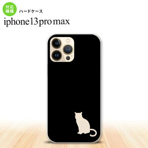 iPhone13ProMax iPhone13 Pro Max P[X n[hP[X L e  NA iPhone13 v }bNX 6.7C`  킢 Y fB[X LbY fUC nk-i13pm-430