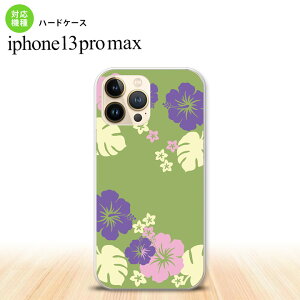 iPhone13ProMax iPhone13 Pro Max P[X n[hP[X nCrXJX C  iPhone13 v }bNX 6.7C`  킢 Y fB[X LbY fUC nk-i13pm-451
