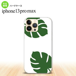 iPhone13ProMax iPhone13 Pro Max P[X n[hP[X Xe   iPhone13 v }bNX 6.7C`  킢 Y fB[X LbY fUC nk-i13pm-453