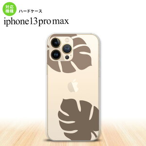 iPhone13ProMax iPhone13 Pro Max P[X n[hP[X Xe NA  iPhone13 v }bNX 6.7C`  킢 Y fB[X LbY fUC nk-i13pm-456