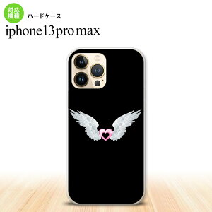 iPhone13ProMax iPhone13 Pro Max P[X n[hP[X  n[g  sN iPhone13 v }bNX 6.7C`  킢 Y fB[X LbY fUC nk-i13pm-473