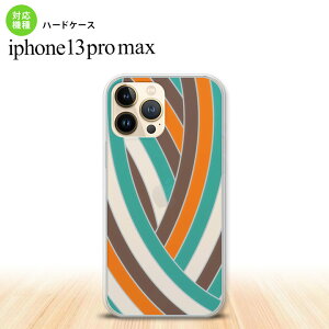iPhone13ProMax iPhone13 Pro Max wʃP[X Jo[ XehOX  O[uE XehOX iPhone13 }bNX 6.7C` nk-i13pm-sg19