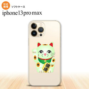 iPhone13ProMax iPhone13 Pro Max P[X \tgP[X L N  iPhone13 v }bNX 6.7C`  킢 Y fB[X LbY fUC nk-i13pm-tp149