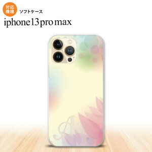 iPhone13ProMax iPhone13 Pro Max P[X \tgP[X ڂ ԕ  +At@xbg iPhone13 v }bNX 6.7C`  킢 Y fB[X LbY fUC nk-i13pm-tp1592i