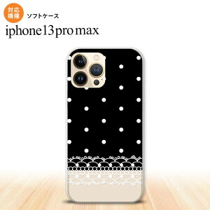 iPhone13ProMax iPhone13 Pro Max P[X \tgP[X hbg [X B  iPhone13 v }bNX 6.7C`  킢 Y fB[X LbY fUC nk-i13pm-tp359