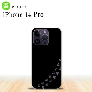 iPhone14 Pro iPhone14 Pro X}zP[X wʃP[X n[hP[X L   NA 2022N 9 nk-i14p-421