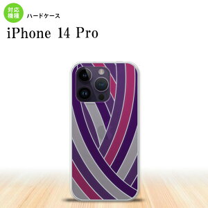 iPhone14 Pro iPhone14 Pro �w�ʃP�[�X �J�o�[ �X�e���h�O���X�� ������� �� �p�[�v�� �X�e���h�O���X�� ���킢�� ������� nk-i14p-sg15