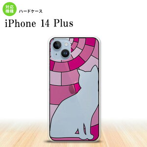 iPhone14 plsu iPhone14 plsu wʃP[X Jo[ XehOX  L sN XehOX 2022N 10 nk-i14pl-sg36