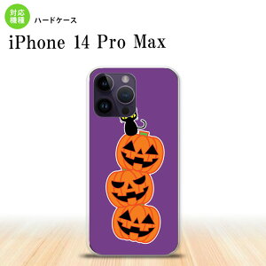 iPhone14 ProMax iPhone14 Pro Max X}zP[X wʃP[X n[hP[X nEB J{` A  2022N 9 nk-i14pm-406