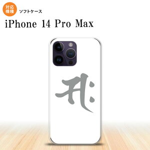 iPhone14 ProMax iPhone14 Pro Max X}zP[X wʃP[X\tgP[X  TN  2022N 9 nk-i14pm-tp581